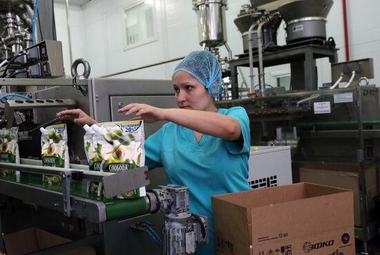 Belgorod Region's EFKO Group awarded Russian Quality Mark