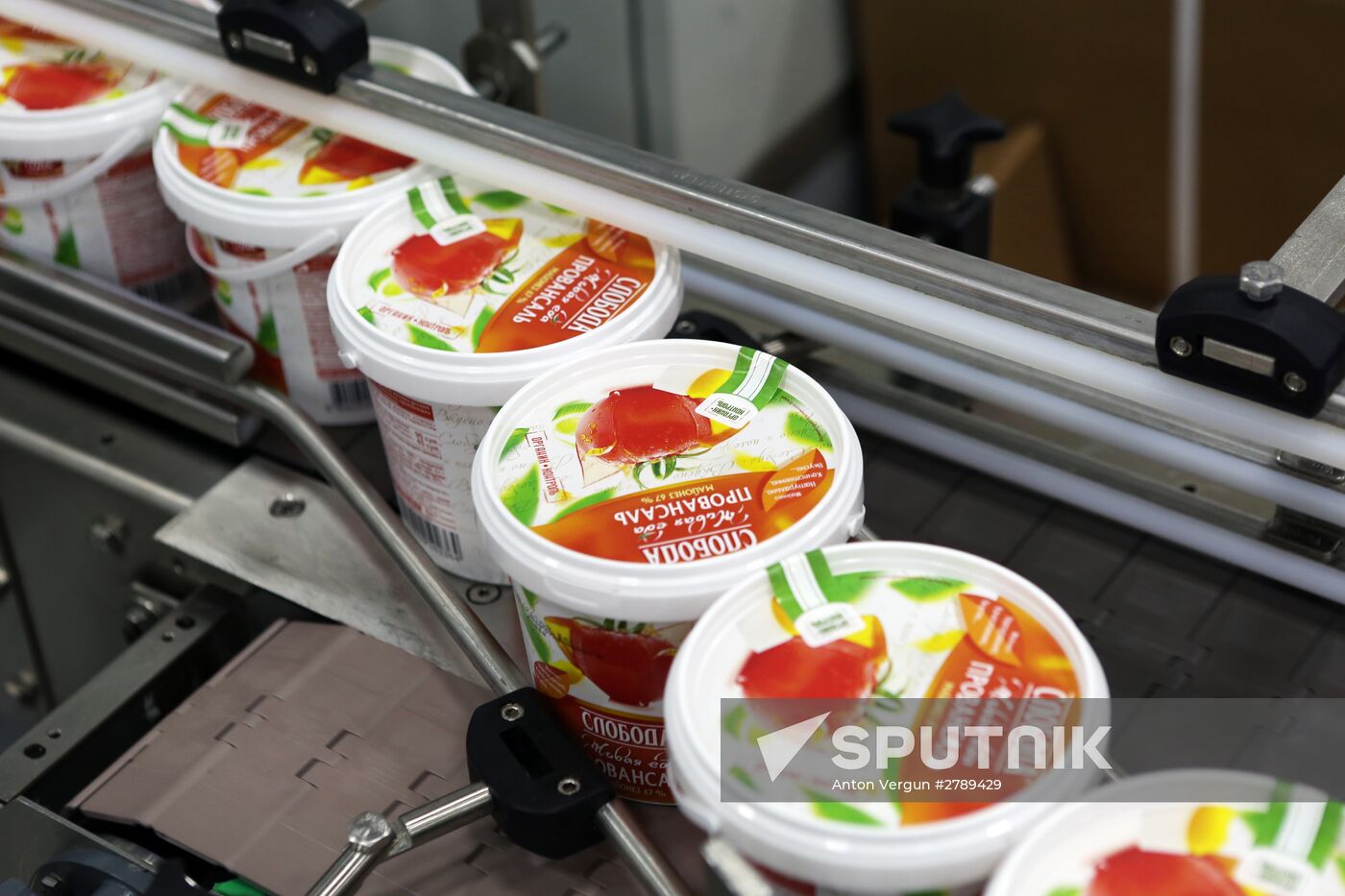 Belgorod Region's EFKO Group awarded Russian Quality Mark