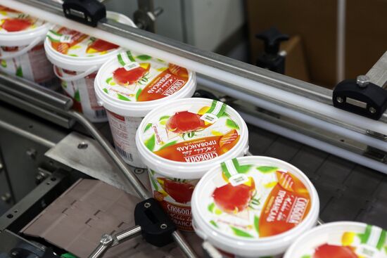 Belgorod Region's EFKO Group awarded Russian Quality Mark