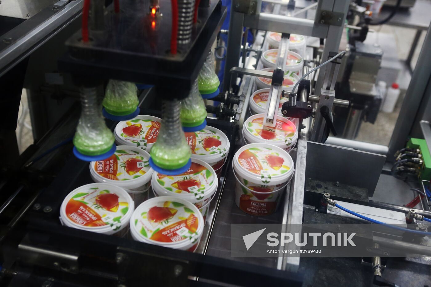 Belgorod Region's EFKO Group awarded Russian Quality Mark