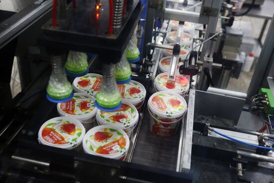 Belgorod Region's EFKO Group awarded Russian Quality Mark