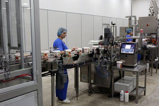 Belgorod Region's EFKO Group awarded Russian Quality Mark