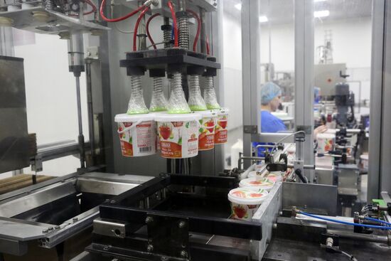 Belgorod Region's EFKO Group awarded Russian Quality Mark