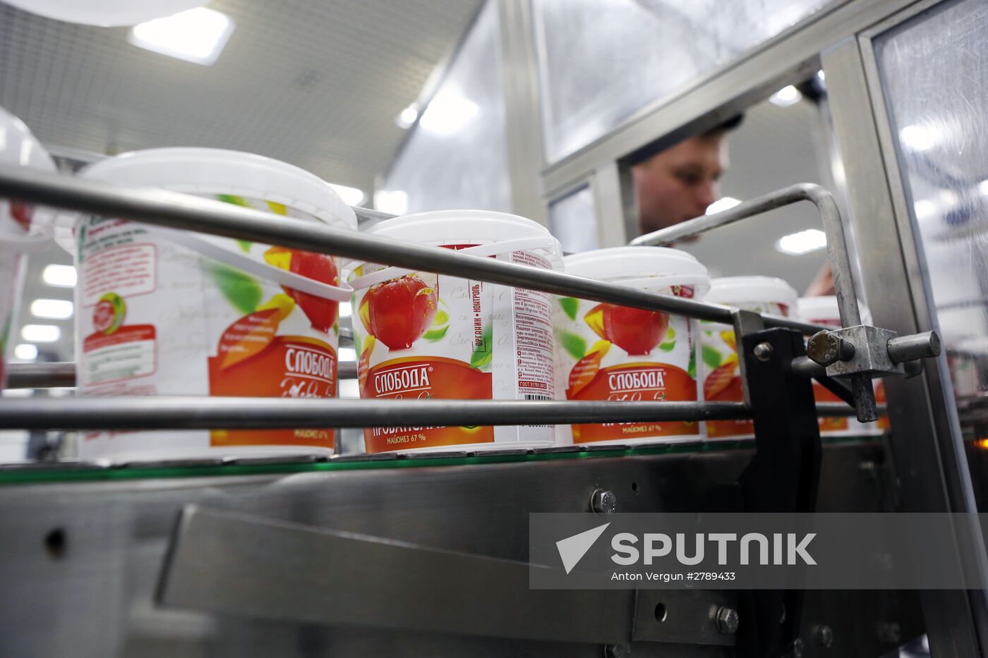 Belgorod Region's EFKO Group awarded Russian Quality Mark