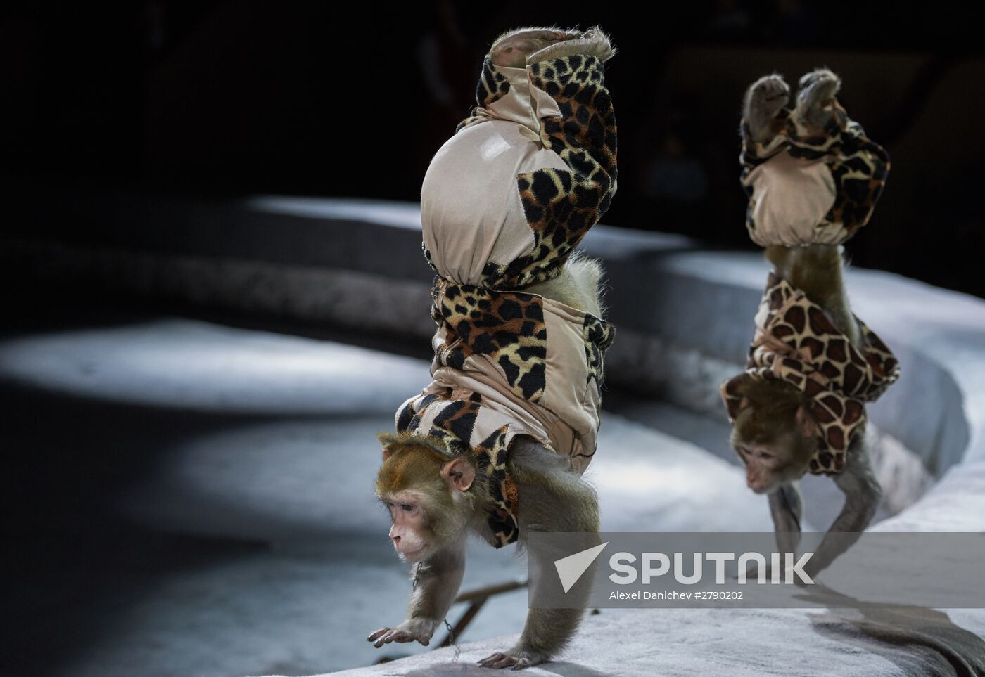 Premiere of new performance 'Let the Sun Shine Always' featuring clown Oleg Popov