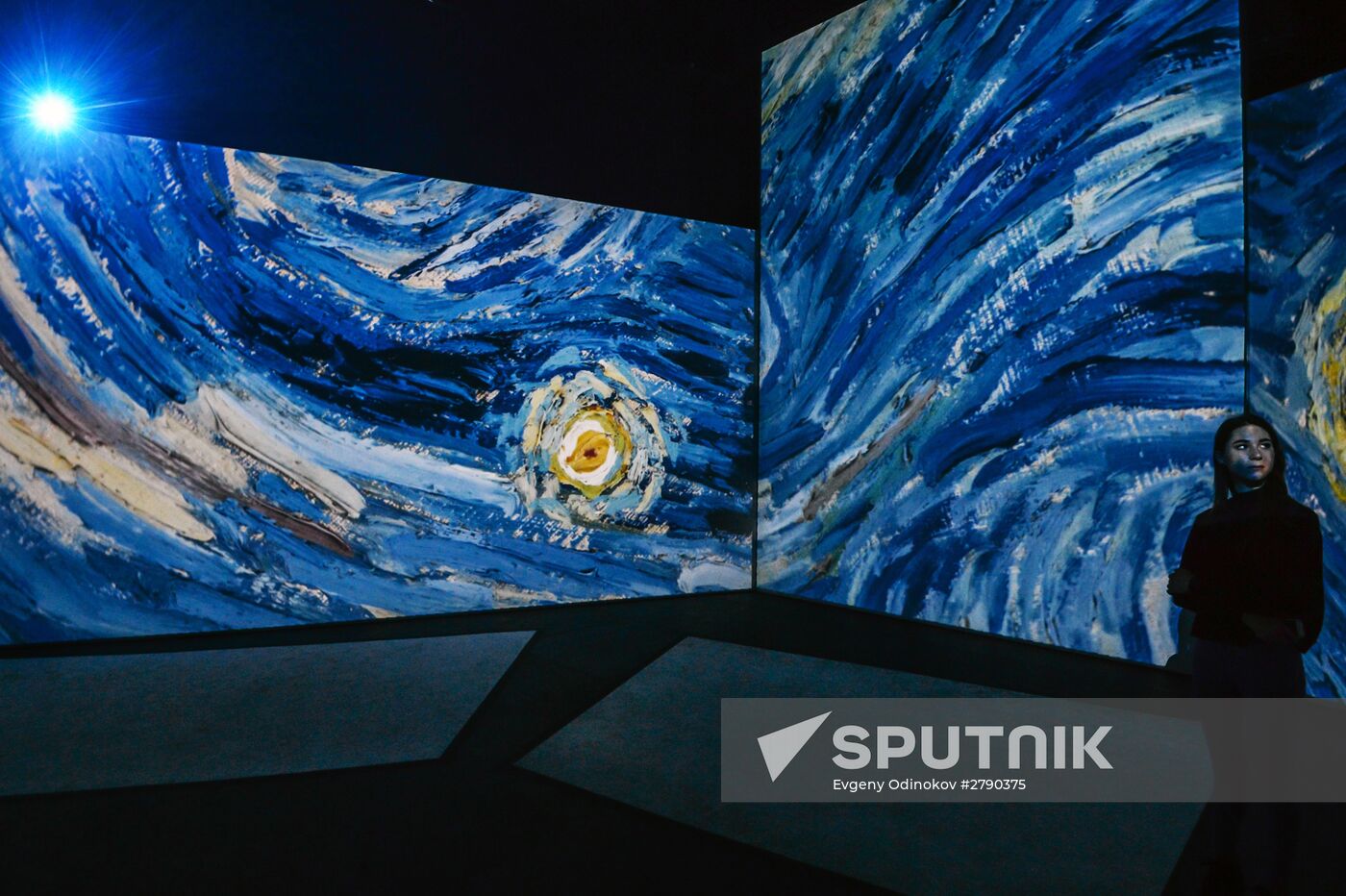 Van Gogh Alive 2.0 exhibition