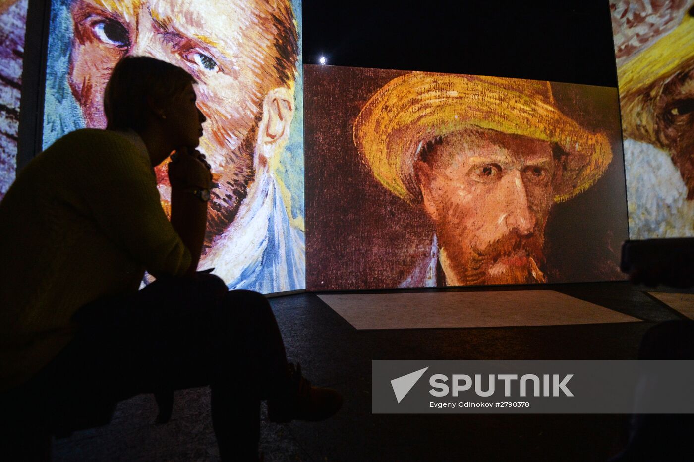 Van Gogh Alive 2.0 exhibition