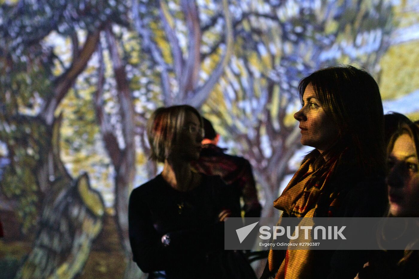 Van Gogh Alive 2.0 exhibition
