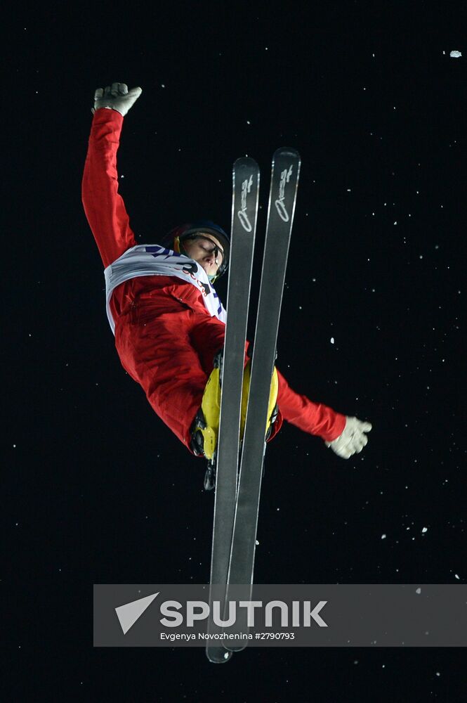 FIS Freestyle World Cup. Aerials