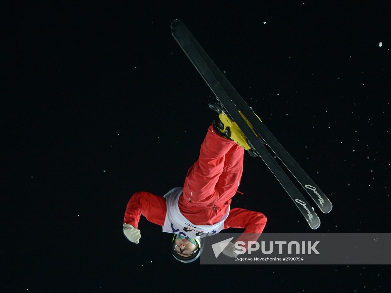 FIS Freestyle World Cup. Aerials