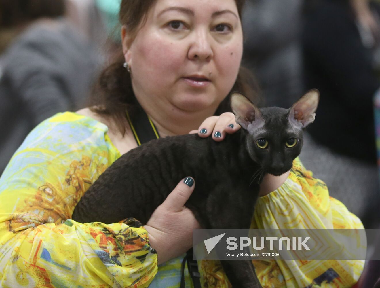 Cat exhibition in Moscow's Sokolniki Exhibition and Convention Center