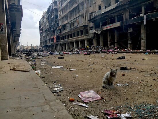 Syrian city of Aleppo