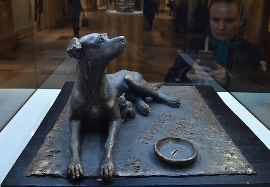 Exhibition of models of monument to homeless animals at GUM