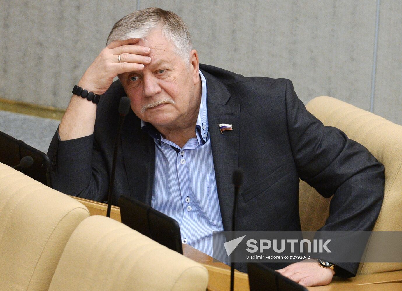 Plenary meeting of the State Duma of the Russian Federation