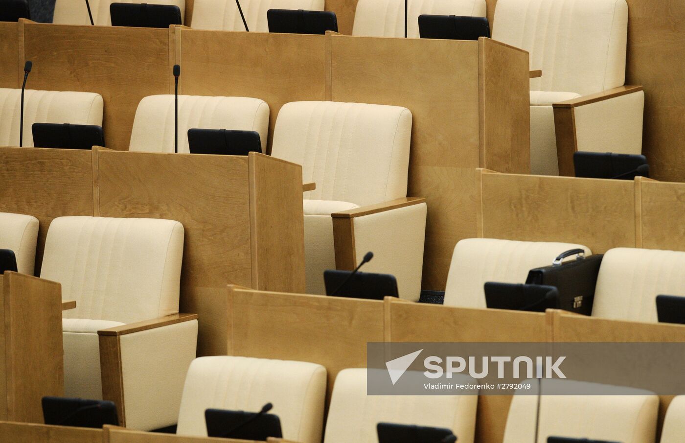 Plenary meeting of the State Duma of the Russian Federation