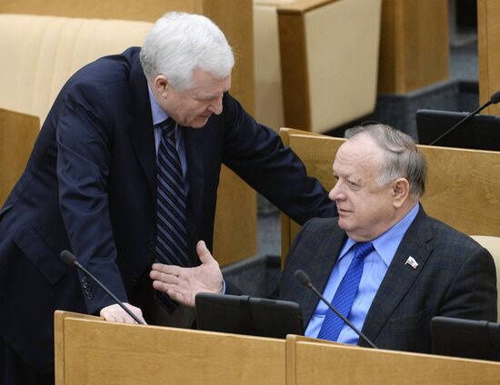 State Duma plenary meeting