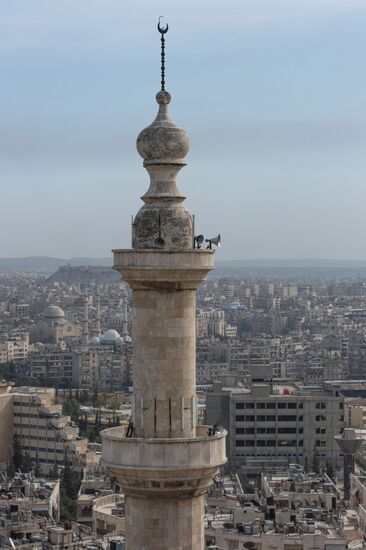 Aleppo update