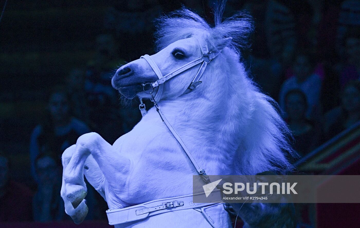 Premiere of new program "Bravo" at Moscow Nikulin's Circus
