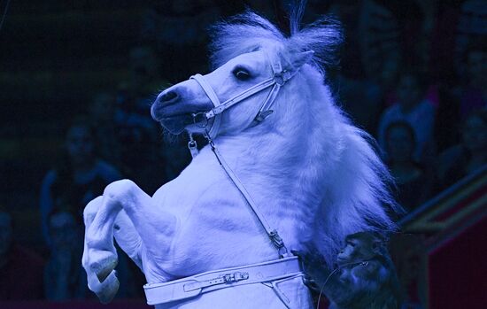 Premiere of new program "Bravo" at Moscow Nikulin's Circus