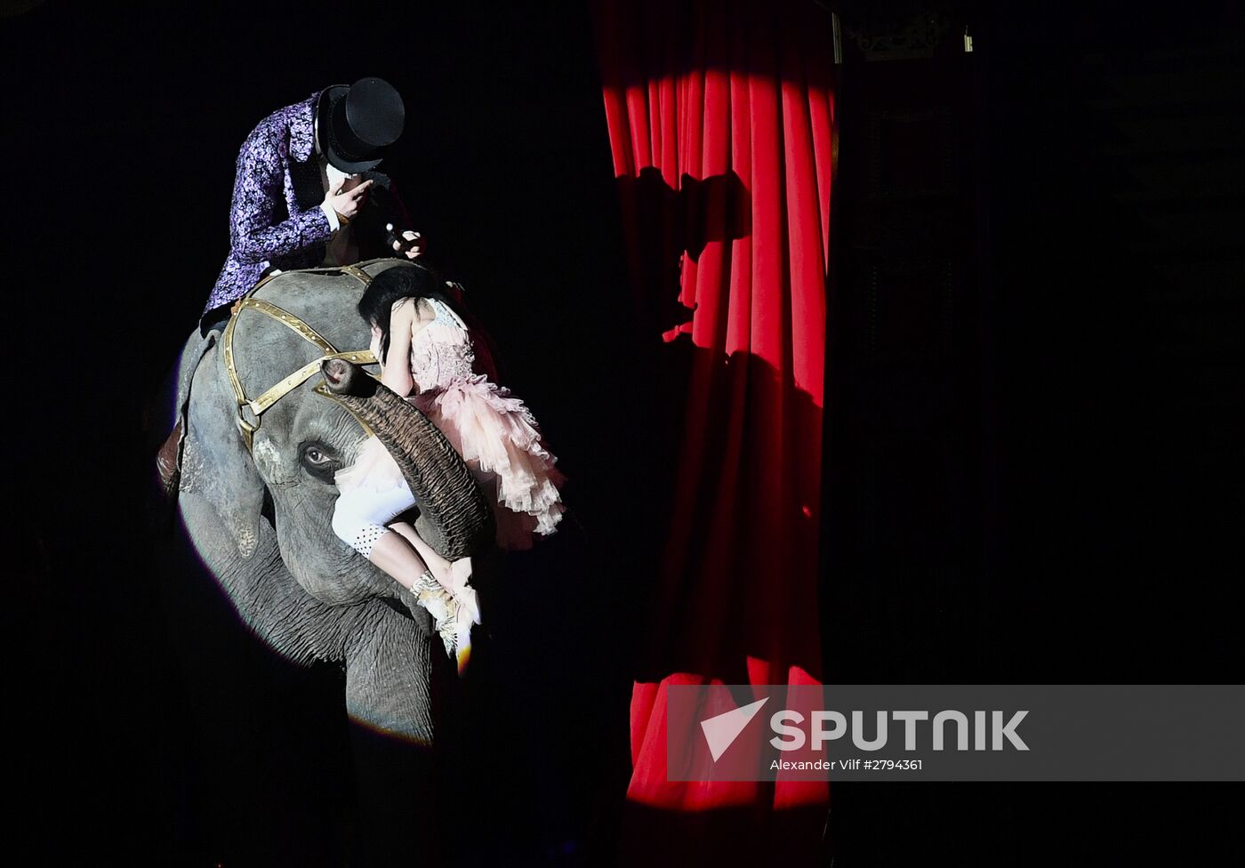 Premiere of new program "Bravo" at Moscow Nikulin's Circus