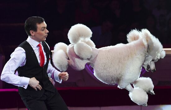 Premiere of new program "Bravo" at Moscow Nikulin's Circus