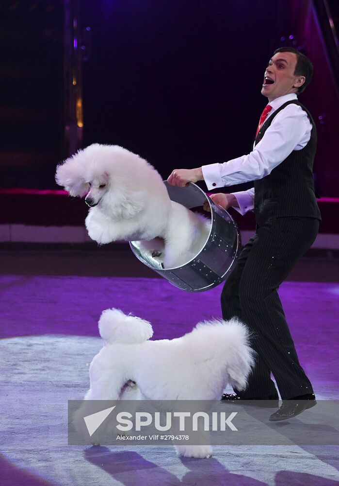 Premiere of new program "Bravo" at Moscow Nikulin's Circus