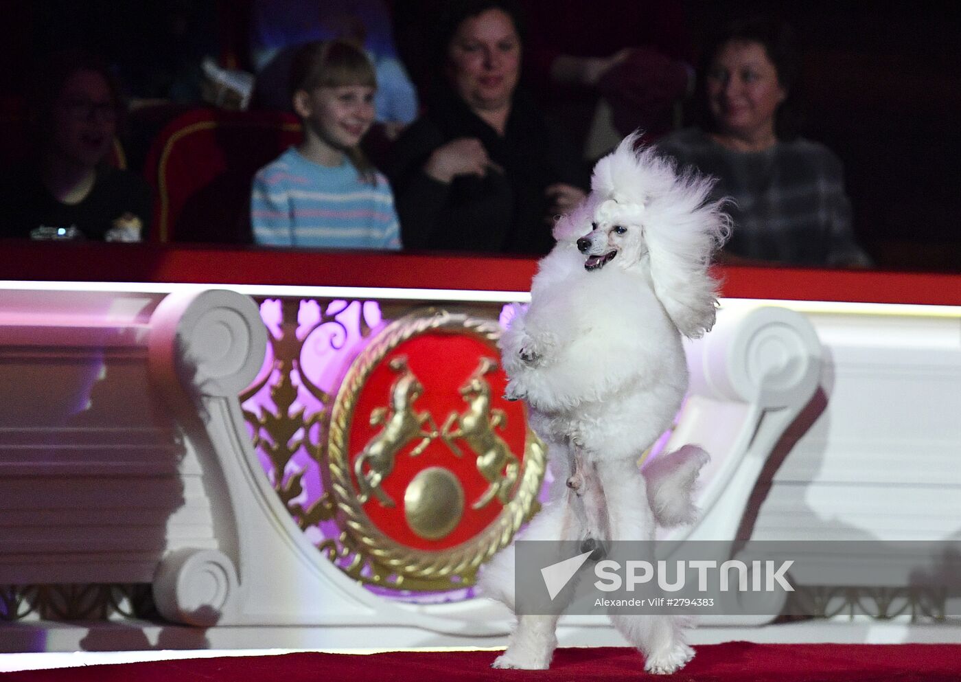 Premiere of new program "Bravo" at Moscow Nikulin's Circus