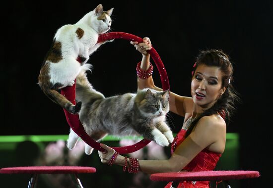 Premiere of new program "Bravo" at Moscow Nikulin's Circus