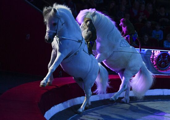 Premiere of new program "Bravo" at Moscow Nikulin's Circus