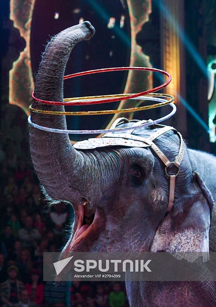 Premiere of new program "Bravo" at Moscow Nikulin's Circus