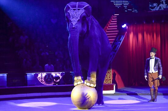 Premiere of new program "Bravo" at Moscow Nikulin's Circus
