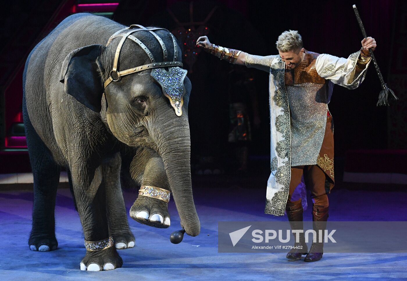 Premiere of new program "Bravo" at Moscow Nikulin's Circus