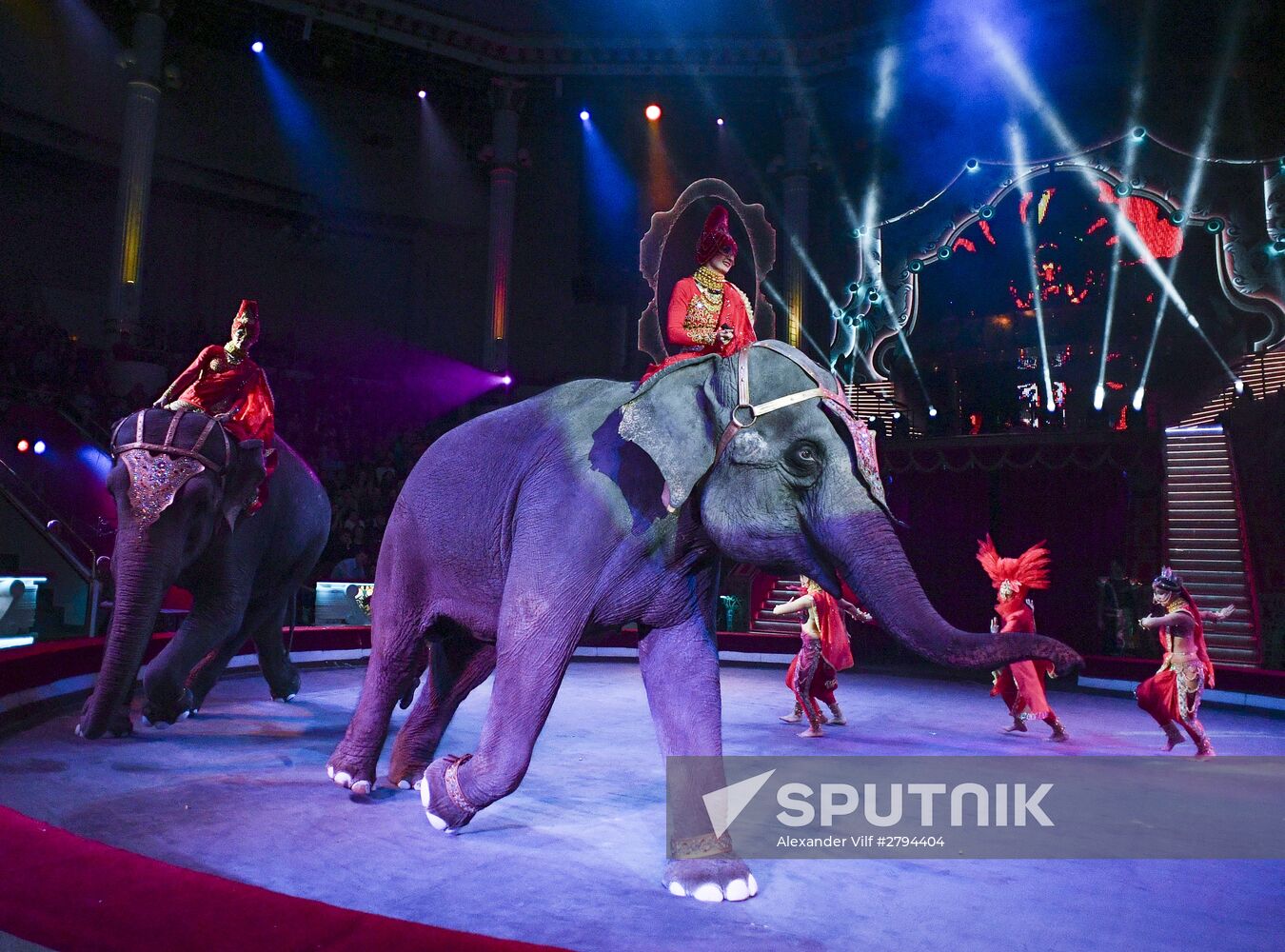 Premiere of new program "Bravo" at Moscow Nikulin's Circus