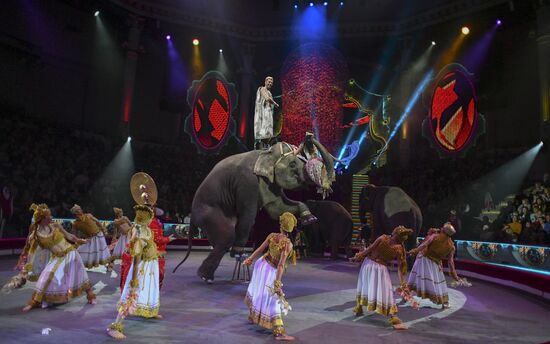 Premiere of new program "Bravo" at Moscow Nikulin's Circus