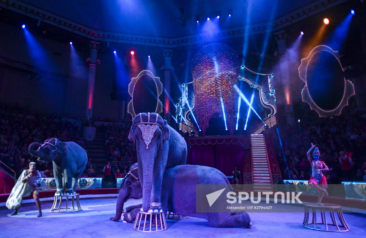 Premiere of new program "Bravo" at Moscow Nikulin's Circus