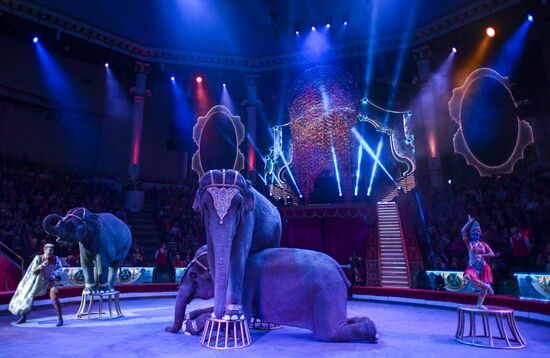 Premiere of new program "Bravo" at Moscow Nikulin's Circus