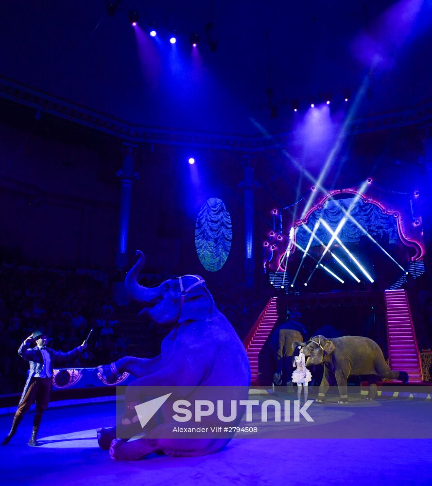 Premiere of new program "Bravo" at Moscow Nikulin's Circus
