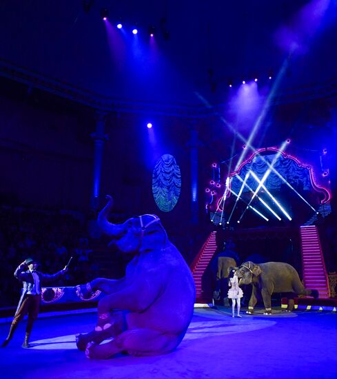 Premiere of new program "Bravo" at Moscow Nikulin's Circus