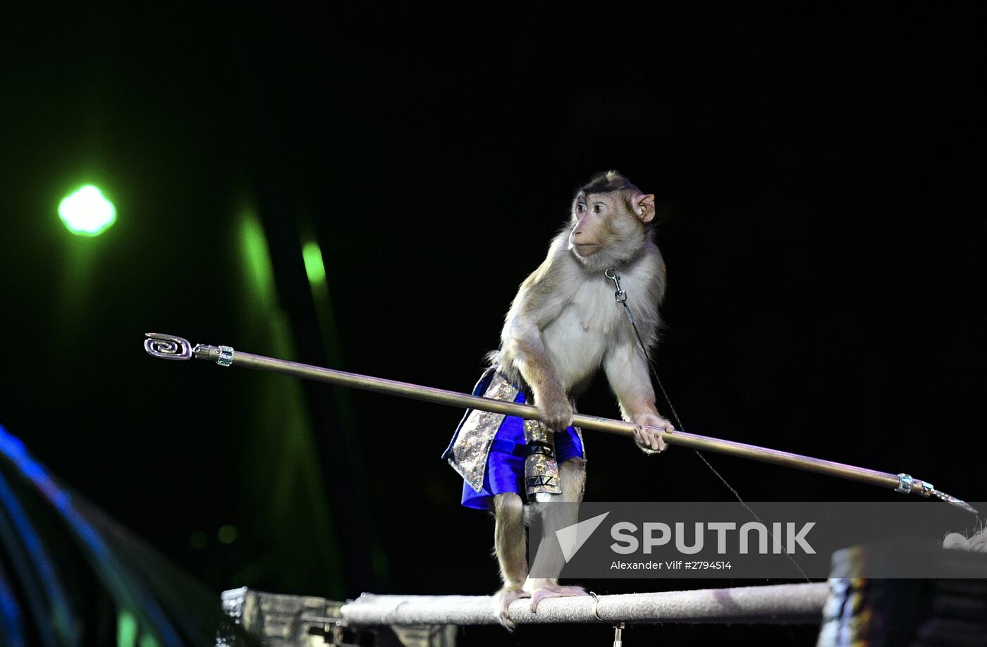 Premiere of new program "Bravo" at Moscow Nikulin's Circus