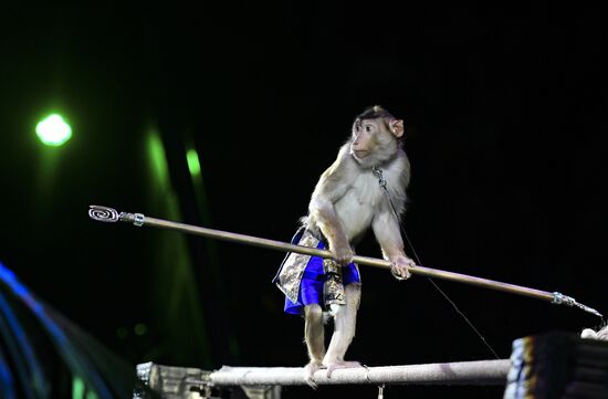 Premiere of new program "Bravo" at Moscow Nikulin's Circus
