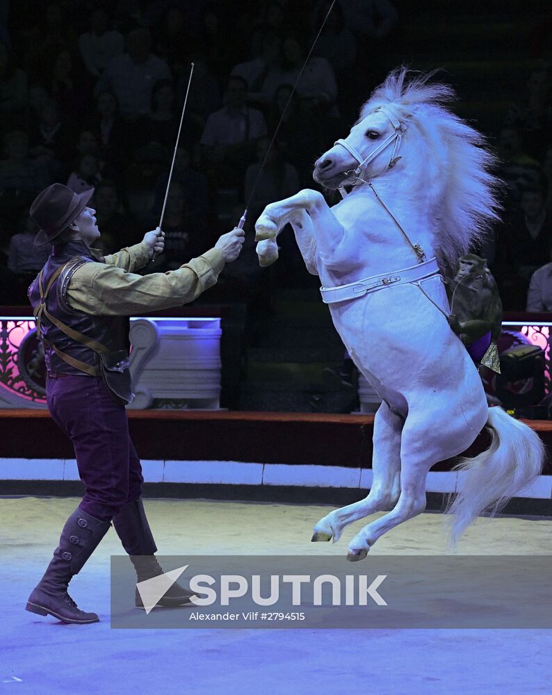 Premiere of new program "Bravo" at Moscow Nikulin's Circus
