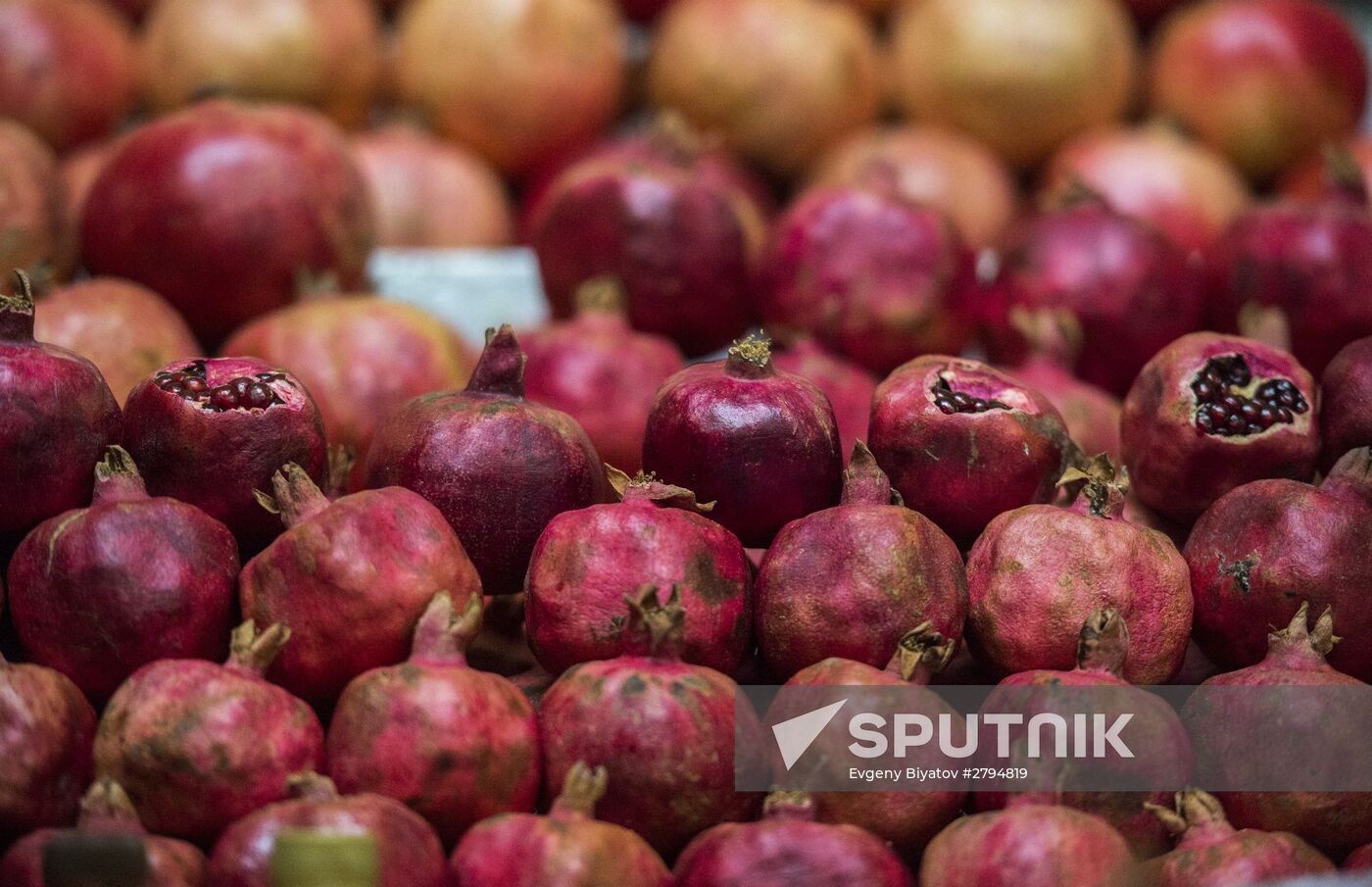 Moscow's Danilovsky Market