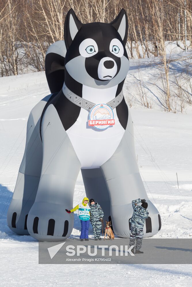 Beringia 2016 sled dog race on Kamchatka