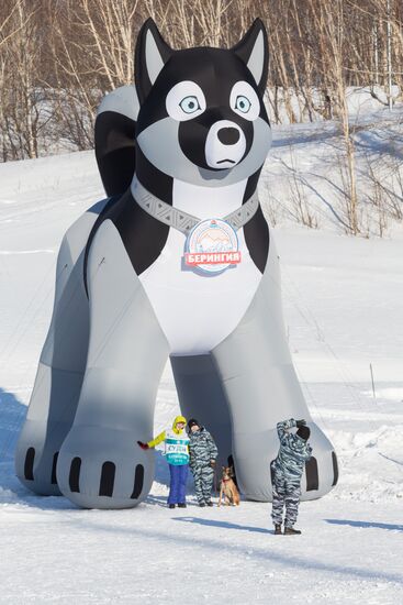 Beringia 2016 sled dog race on Kamchatka