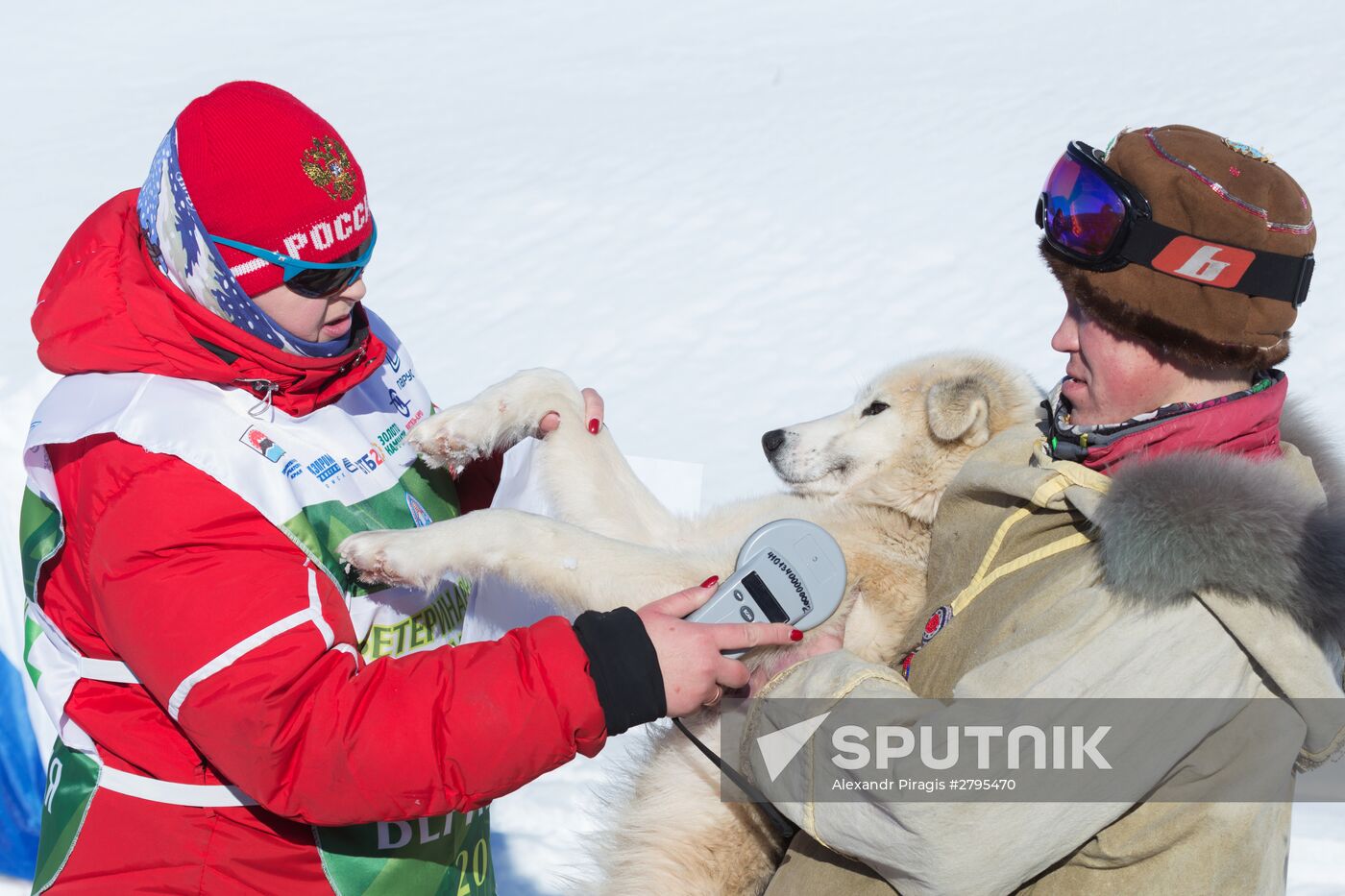 Beringia 2016 sled dog race on Kamchatka
