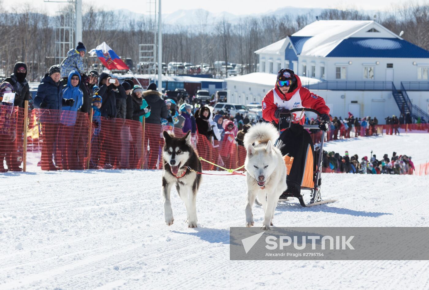 Beringia 2016 sled dog race on Kamchatka