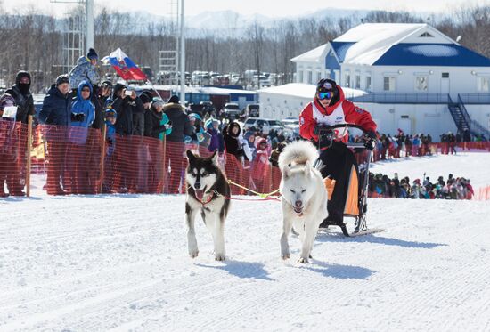 Beringia 2016 sled dog race on Kamchatka