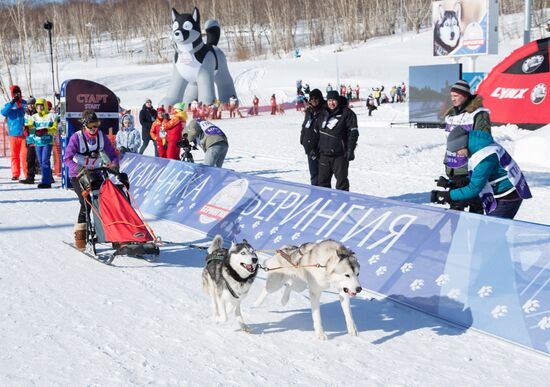Beringia 2016 sled dog race on Kamchatka