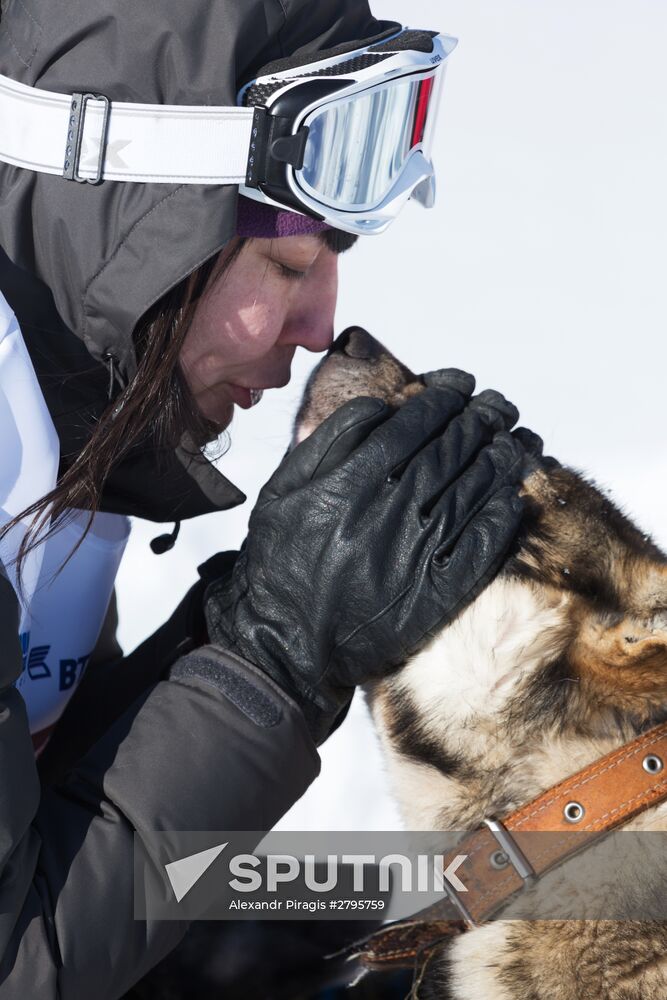 Beringia 2016 sled dog race on Kamchatka