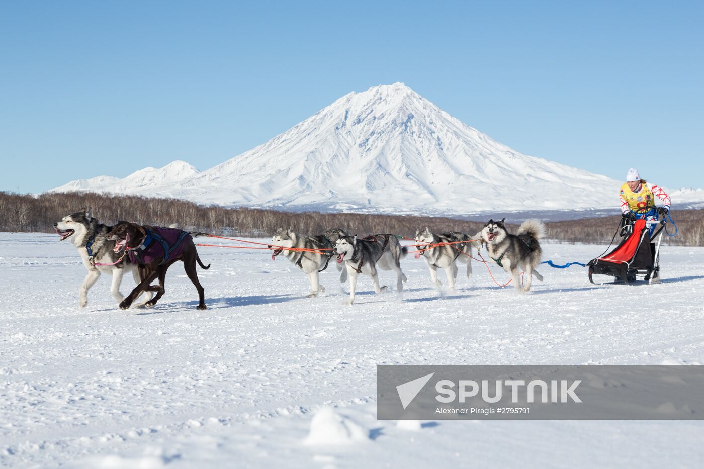 Beringia 2016 sled dog race on Kamchatka